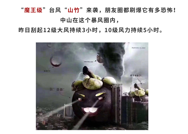 山竹台风清理报到-2_01.jpg