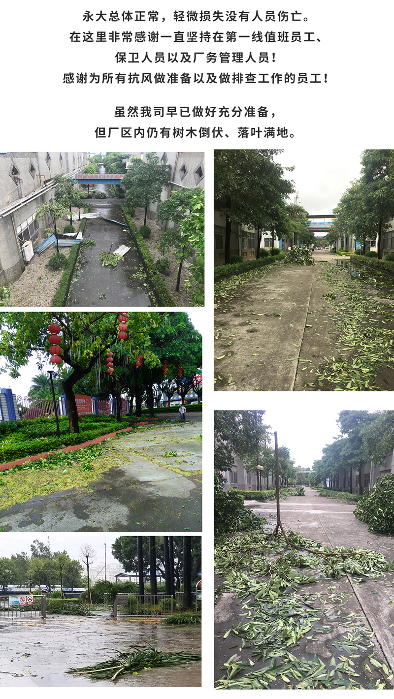山竹台风清理报到-2_02.jpg