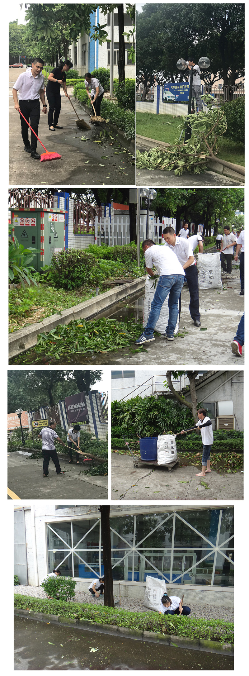 山竹台风清理报到-2_05.jpg